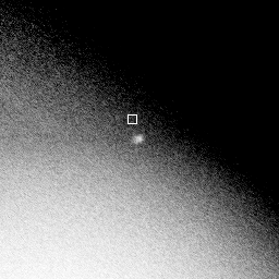 OpticalX