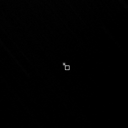 OpticalX