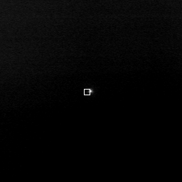 OpticalX
